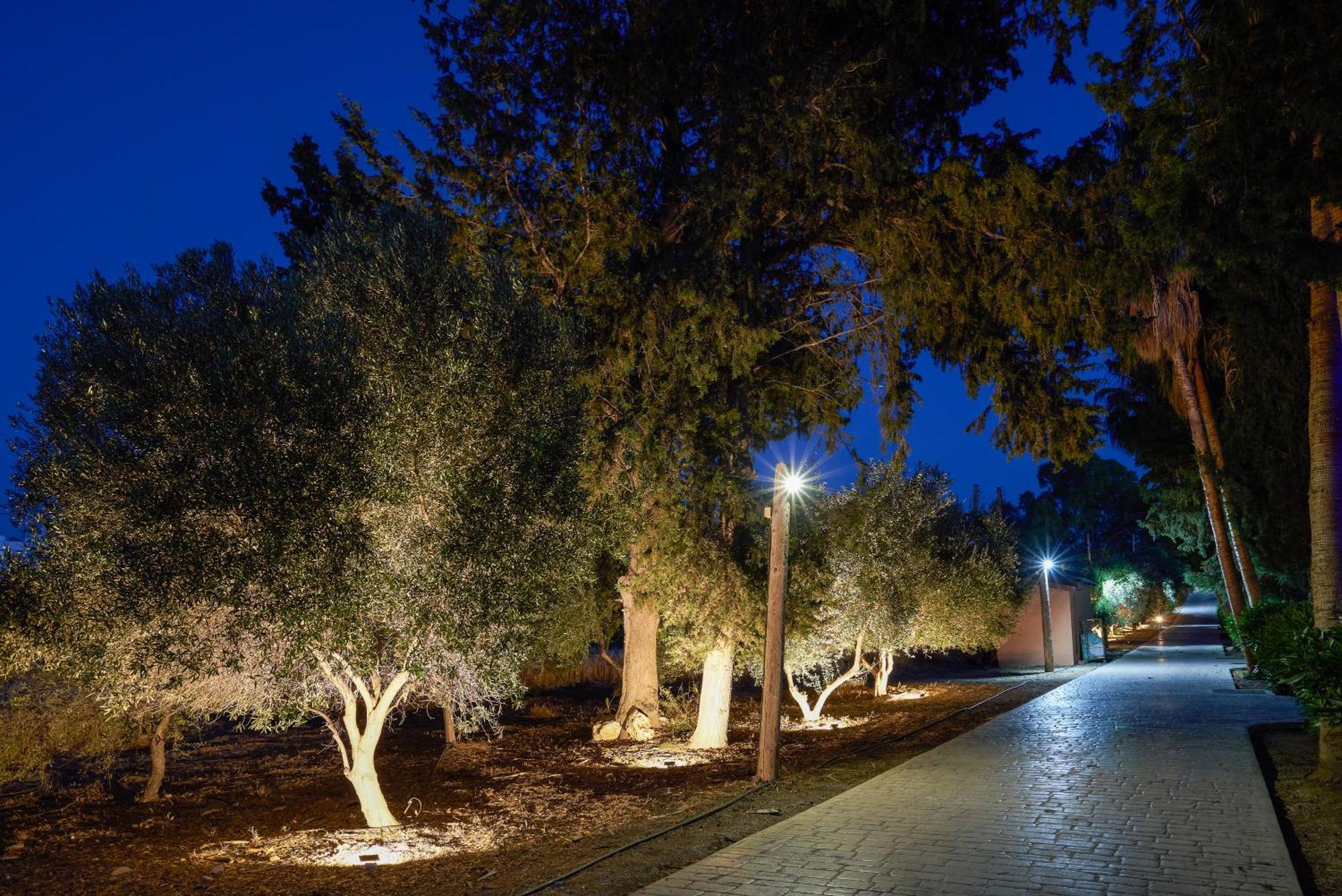 The Olympians Villas Polis Exteriör bild